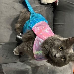 Small mermaid costume used condition